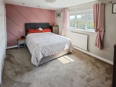 Picture 8